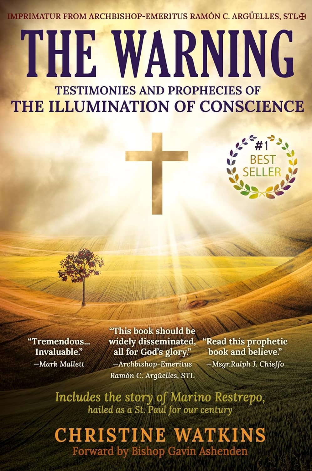 The Warning: Powerful Prophecies & Real-Life Testimonies of the Coming Illumination of Conscience (Revised & Expanded Edition)